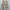 Cargo Pants baggy fit photo 4