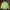 Nike Streetwear Sportswear Sweatshirt Pria green photo 1