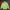 Nike Streetwear Sportswear Sweatshirt Pria Green