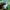 Nike Streetwear Sportswear Sweatshirt Pria green photo 6