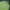 Nike Streetwear Sportswear Sweatshirt Pria green photo 3