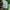 Nike Streetwear Sportswear Sweatshirt Pria green photo 5