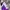 TRACKTOP photo 3