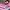 Adidas Streetwear Sportswear Jersey Pria pink black photo 2