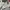 Dickies 874 Flex Grey photo 4