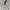 National Geographic Bomber Jacket photo 5