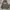 Hoodie Dickies photo 2