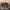 Timberland Vintage Casual Boots Pria tan photo 3