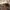 Timberland Vintage Casual Boots Pria Tan