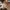 Timberland Vintage Casual Boots Pria tan photo 5