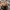 Timberland Vintage Casual Boots Pria tan photo 2