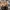 Timberland Vintage Casual Boots Pria Tan