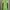 Sportswear Puffer jacket Pria yellow photo 1