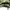 Vintage Cold Weather ecwcs Gen 1 Camo Woodland photo 6