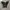 Converse Allstar Hi Full Black Original Guaranted 100% photo 4