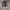 Conversez Allstar Hi Black List Red Original Guaranted 100% photo 3