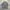 Minimalist Casual Windbreaker Pria multicolor photo 1