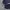 Uniqlo Sportswear Windbreaker Pria navy photo 6