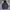 Uniqlo Sportswear Windbreaker Pria navy photo 1