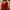 Casual Crop top Wanita red photo 3