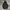 Uniqlo Gorpcore Sportswear Windbreaker Pria black photo 2