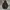 Uniqlo Gorpcore Sportswear Windbreaker Pria black photo 1