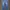 LONGPANT CARPENTER DICKIES DENIM photo 2