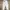 Guess Vintage Indie Mom jeans Wanita white photo 3