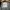 Gorpcore Minimalist Windbreaker Pria white gray photo 7