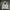 Gorpcore Minimalist Windbreaker Pria white gray photo 2