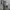 Sly y2k photo 5