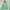 Pull & Bear Jacket Hoodie Hijau Neon