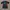 T1 Esports Korea Jersey 2024 Goal Studio Mercedes