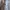 Freshjive Cargo Short Pants Camo
100 % Cotton Ripstop photo 8