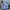 Polo Ralph Lauren Grunge Indie Formal Shirt Pria Blue