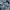 GAP Grunge Indie Casual shirt Pria white black photo 5