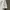 Mercedes AMG Petronas F1 2024 Team Polo White Tommy Hilfiger photo 6