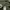 Grunge Indie Formal shirt Pria green photo 4