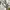 Billionaire Boys Club Dollar bill all-over print photo 9