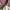 Billionaire Boys Club Dollar bill all-over print photo 3