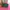 Furla Metropolis Green Crossbody Bag photo 6