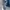 Adidas Casual Track jacket Pria navy photo 2