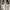 Hush Puppies Sabine Sneaker Full Box Original photo 9