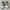 Sepatu timberland Ripcord low grey suede sneakers photo 4