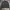 Jacket Harington Casual Indian