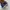 Vans Style 36 photo 4