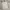 ZARA Vintage Casual Sweatshirt Wanita white green photo 3