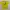Puma Casual Jersey Pria yellow photo 1
