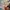 Oakley fast jacket sunglasses  photo 2