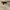 Motel Rocks Vintage Y2K Mini skirt Wanita cream photo 3